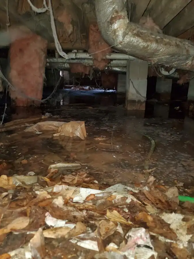 Crawl space flood assessment for Leak Detection & Repair in Fort Myers